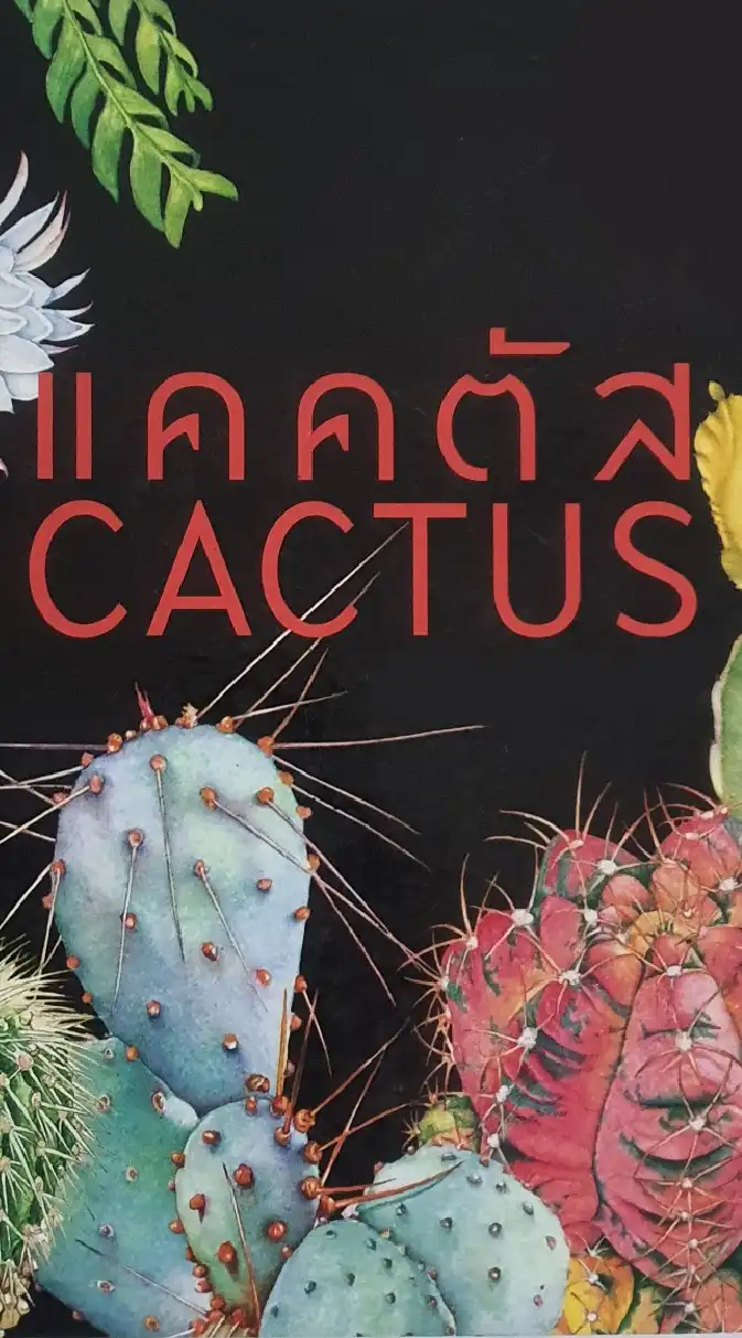 Cactus/กระบองเพชร