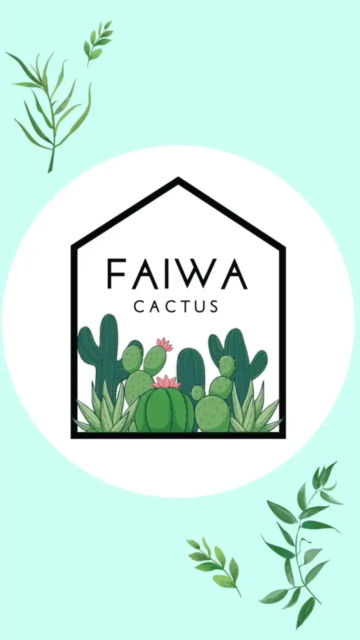 FaiwaCactus