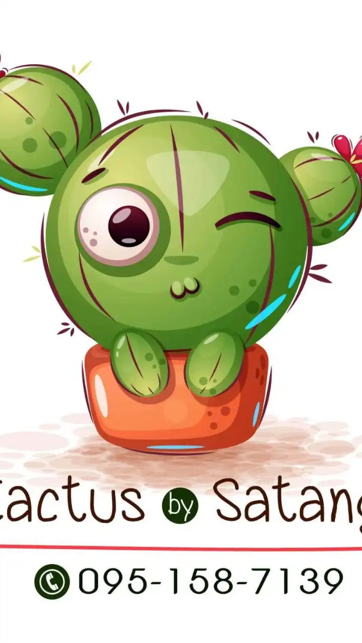 Cactusby satang
