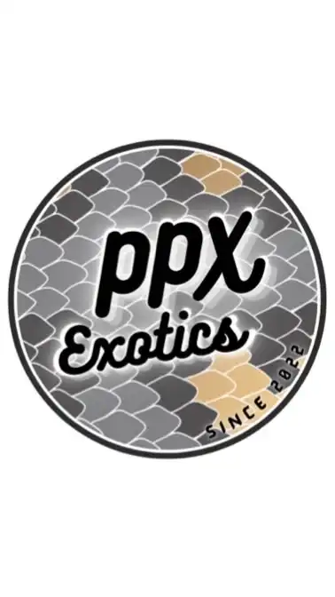 Exotics club สอบถาม/อวดน้อนงู้ยยย