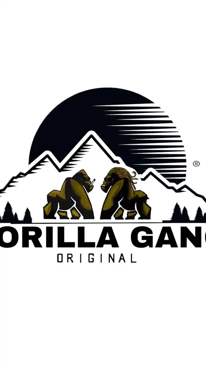 🦍 GORILLA GANGs V.2 🦍