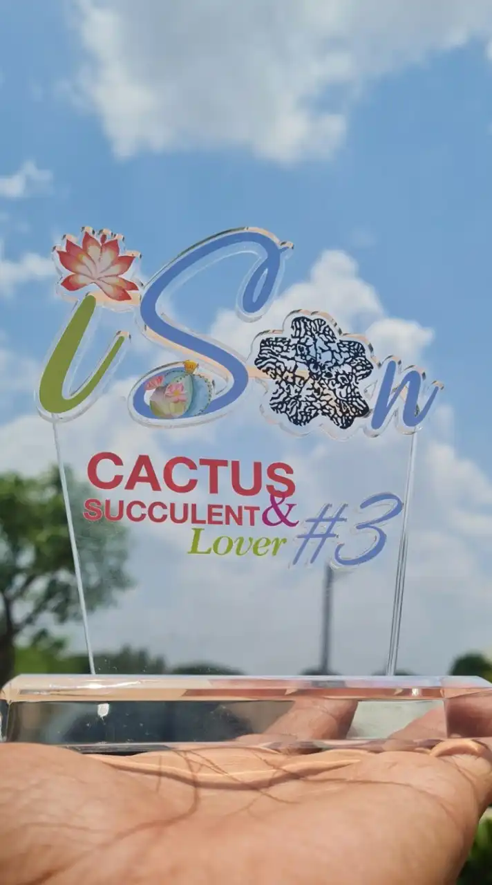 Isan Cactus & Succulent Lover #3
