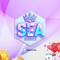 SEA Agency (New VJ)​