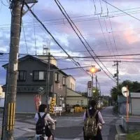 Nihon Enthusiasts