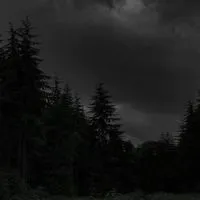 ◄◤𓆩༺ARTIST GROUP༻𓆪◥►