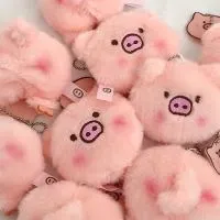 สินค้าพร้อมส่ง | พรีออเดอร์จากจีน🇨🇳By PK