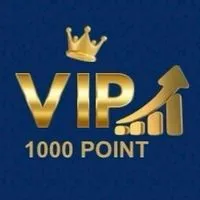 💙VIP 1,000Point💙
