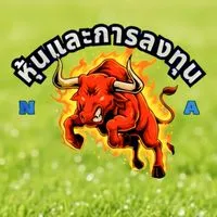 หุ้นและการลงทุน