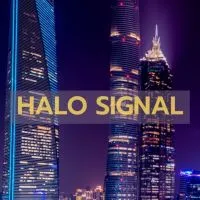 Halo Signal Forex.📊