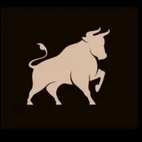 PP TRADER (vip)