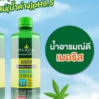 $ Merris น้ำดื่มอารมณ์ดี มีรายได้