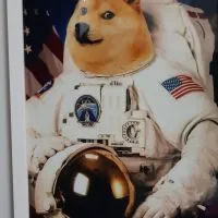 Dogecoin To The Moon !!