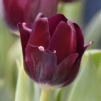 ม.ปลาย ครูสุรวุฒิ