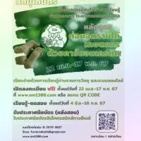 ร.ร.เกษตรทางไกลต่อยอดรายได้เกษตรกรด้วยคาร์บอนเครดิต