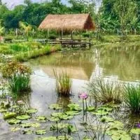 ธรรมะกับกฎหมาย