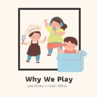 🎠Why We Play🎪 ตัวแทนของเล่นราคาถูก ขายส่ง