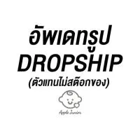 Apple Junior Dropship : ตัวแทนไม่สต๊อกของ