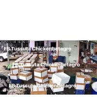 GG ชิ้นส่วนหมูเบทาโกรและชิ้นไก่สด-ฟรีส