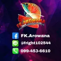 FK.Arowana