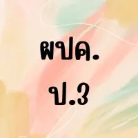 ผปค ป.3/2565