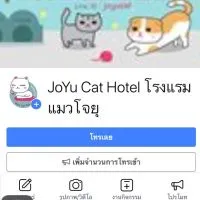 โรงแรมแมวโจยุ JoYu Cat