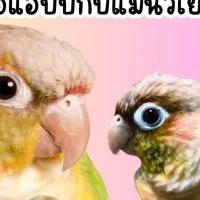 นก นก นก นกจริงๆ