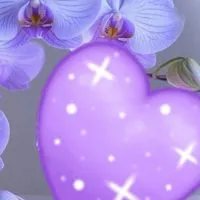 💜🖤☘️25+30+40+คนโสดคนเหงา💜เข้ามาคุยกันพร้อมชมภาพสวยๆค่ะ💜💜