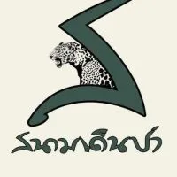 สนามเดินป่า Field&Camping