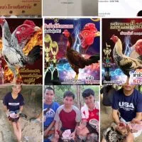 อนุพงศ์ฟร์าม