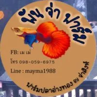 พันจ่าฟาร์ม