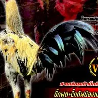 โสภิดาฟาร์ม
