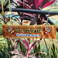 ติงเจริญฟาร์ม