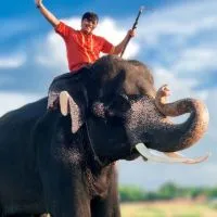 ด้อมพี่เยี่ยมฟ้าและน้องหมอนทอง🐘