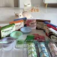 พร้อมส่งอาหารเปียกแมว By Muffin🐈