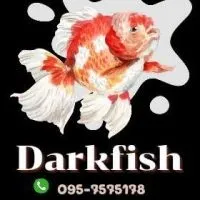 Darkfish🐟🐟