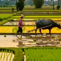 1️⃣ห้องเพลง"อดีตเพลงดัง"เพลงเก่าๆ ฟังเพราะๆ1️⃣