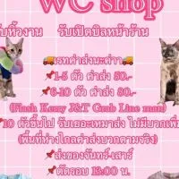 WCเสื้อผ้าแฟชั่น(ราคาปลีก-ส่ง) แม่ค้ารับหิ้วงาน