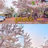 หางานลพบุรี ท่าหลวง ชัยบาดาล