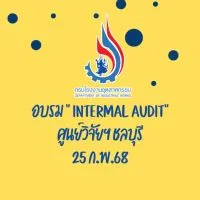 Internal Audit-25 FEB 2025-DIW