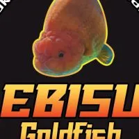 Ebisu Goldenfish Samutprakarn 🦈