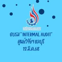 Internal Audit-12 MAR 2025 DIW [รุ่น 2]