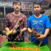 คนธรรมดา