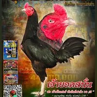 ซุ้ม เอ จักรพันธ์