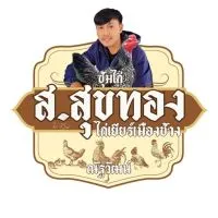 ส. สุขทองไก่ชนเมืองช้าง