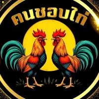 คนชอบไก่