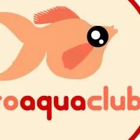 PROAQUACLUB บอลลูนมอลลี่