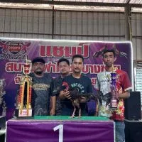 เพชรวันชนะสังกัดมังกรสุพรรณ🐲
