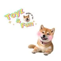 Toyz4Fun