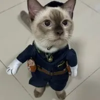 JinWu โค้ชแมว