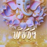 พัชชาพาวิน